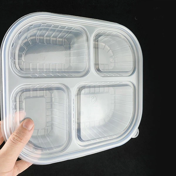 Disposable Vacuum Formed Multi Grid Packaging Box
